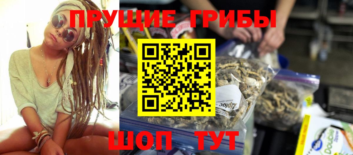 Королёв  Галлюциногенные грибы Magic Shrooms  Псилоцибиновые грибы мицелий  Вход с VPN 